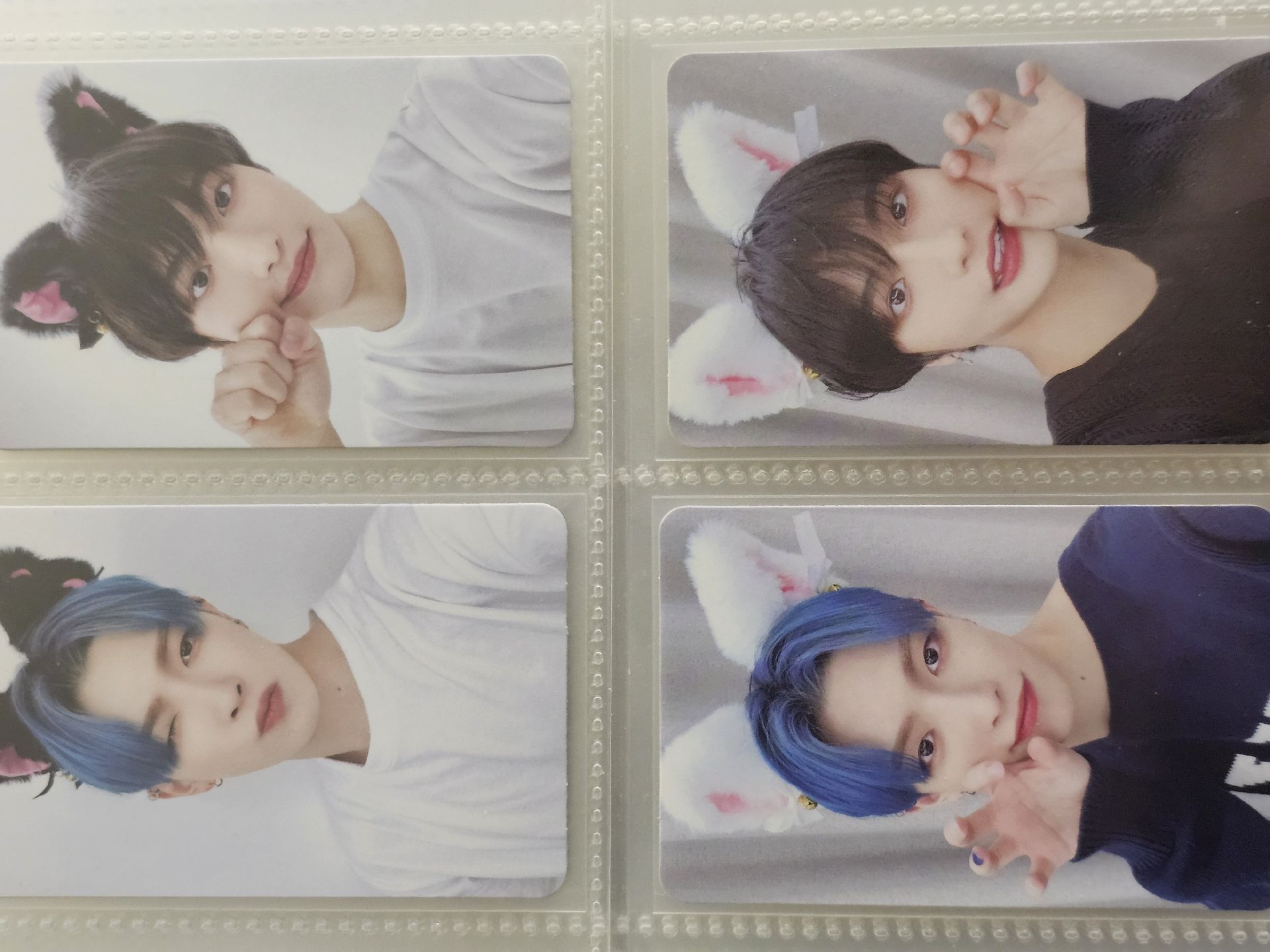 (四張不拆)星化 弘中 Outlaw ms 3.0 黑貓 白貓 特典卡