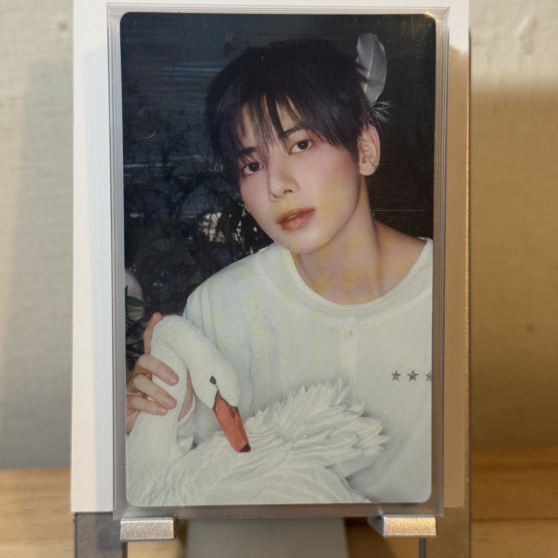 太顯 Starkissed 專卡