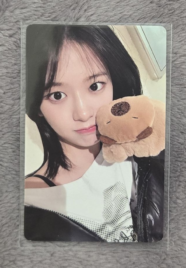 卡皮巴拉安 中背