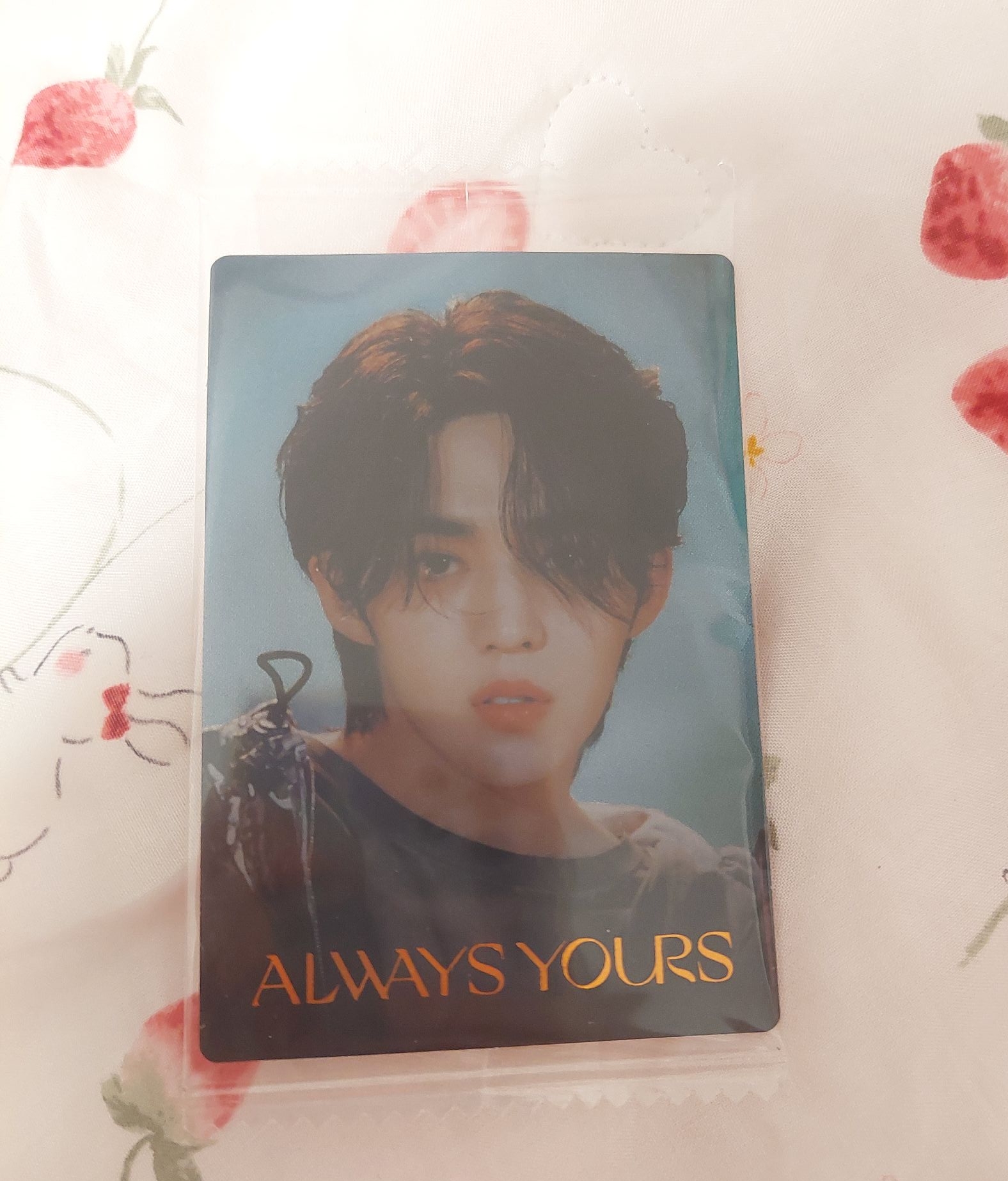 勝哲 萬代 餅乾卡 日本 Follow 日巡