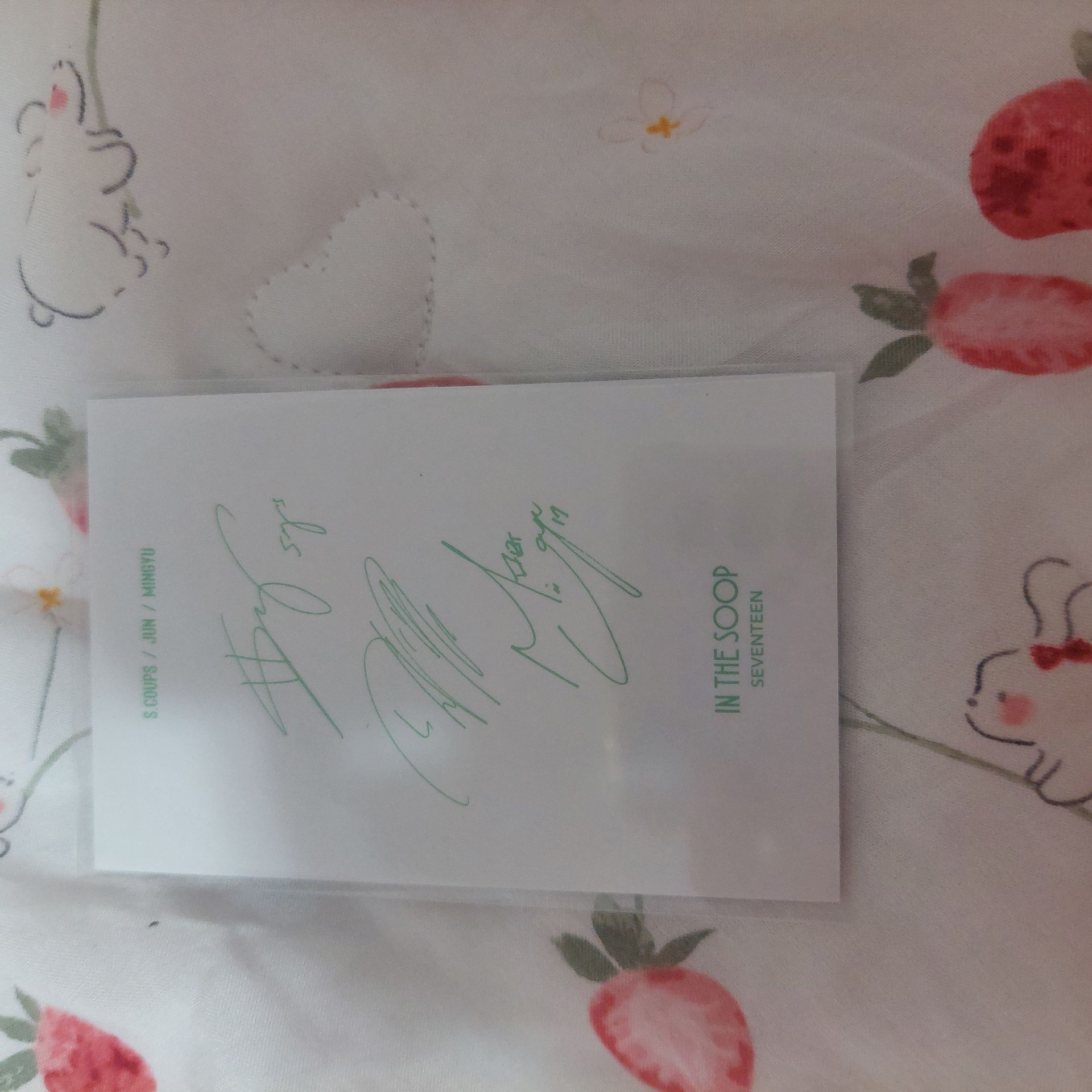 SEVENTEEN IN THE SOOP 筆記本 小卡 勝哲 俊輝 珉奎