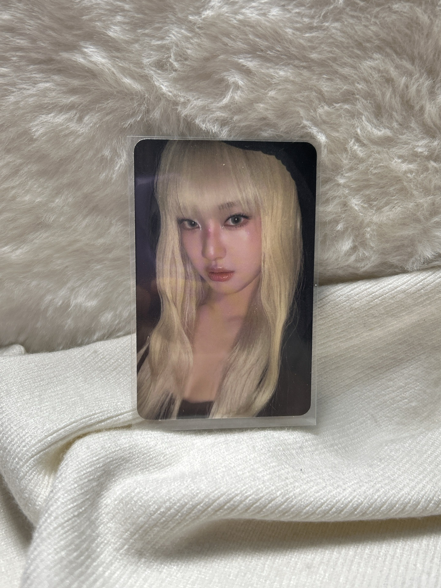 正規一target 專卡寧|Amagedon 