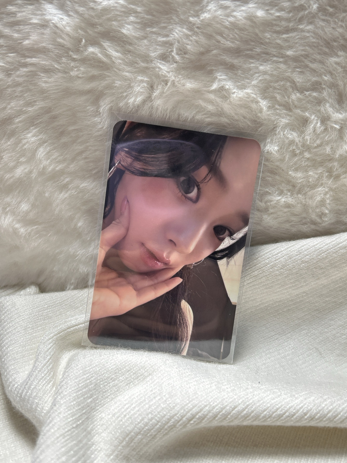 星光卡柚 四星✨|Rishman