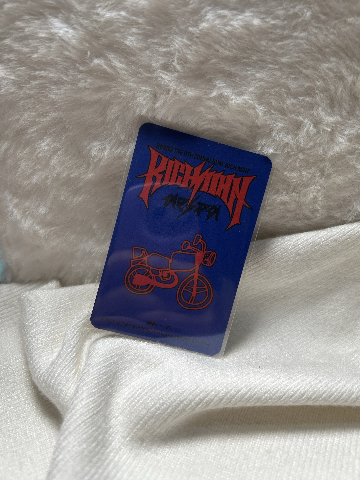 星光卡柚 四星✨