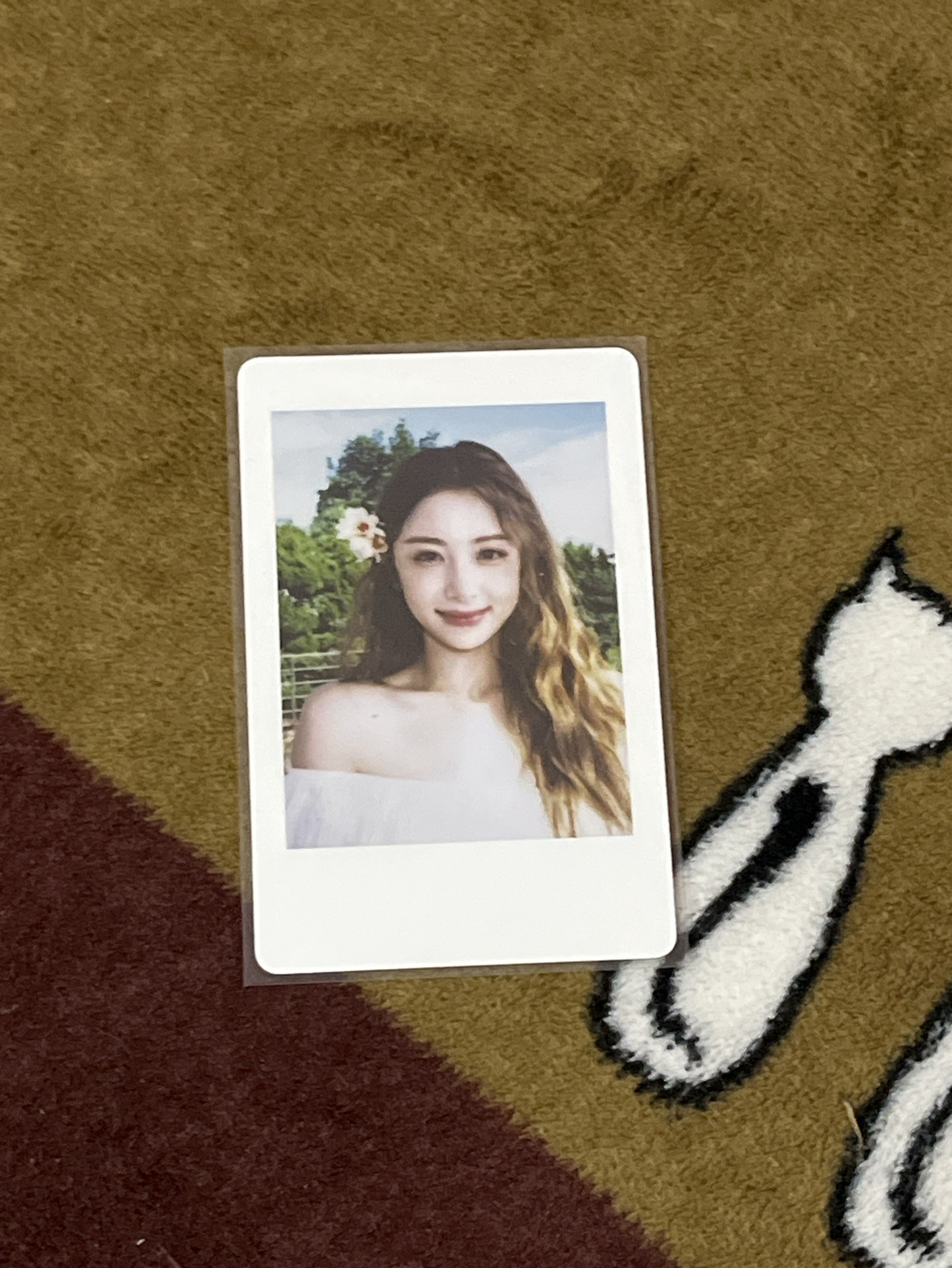 23年曆卡拍立得