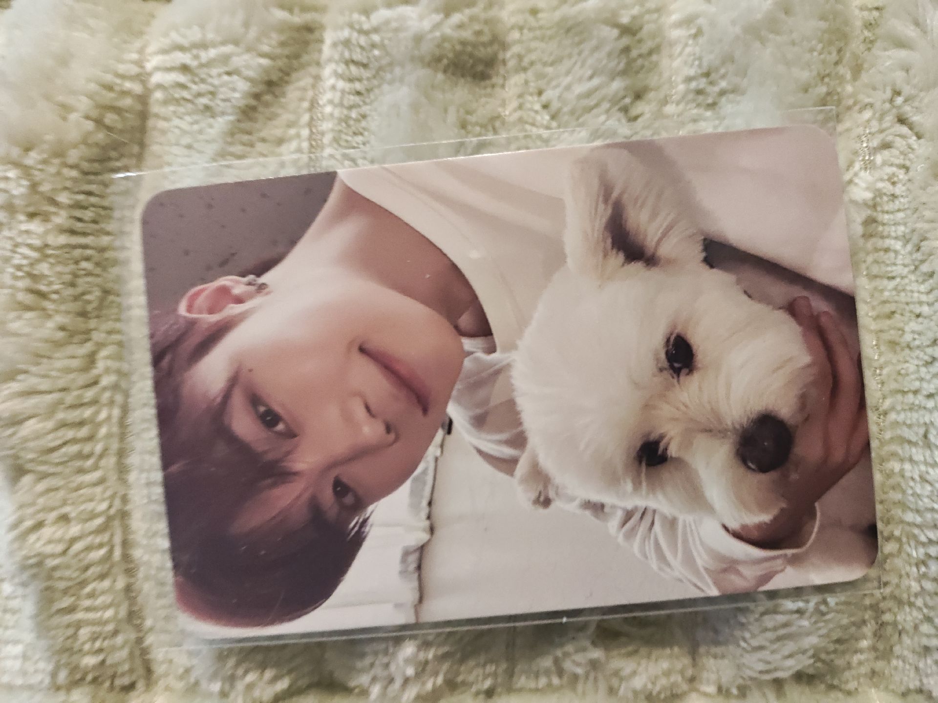 ZEROBASEONE ZB1 朴乾旭 專卡 狗狗卡