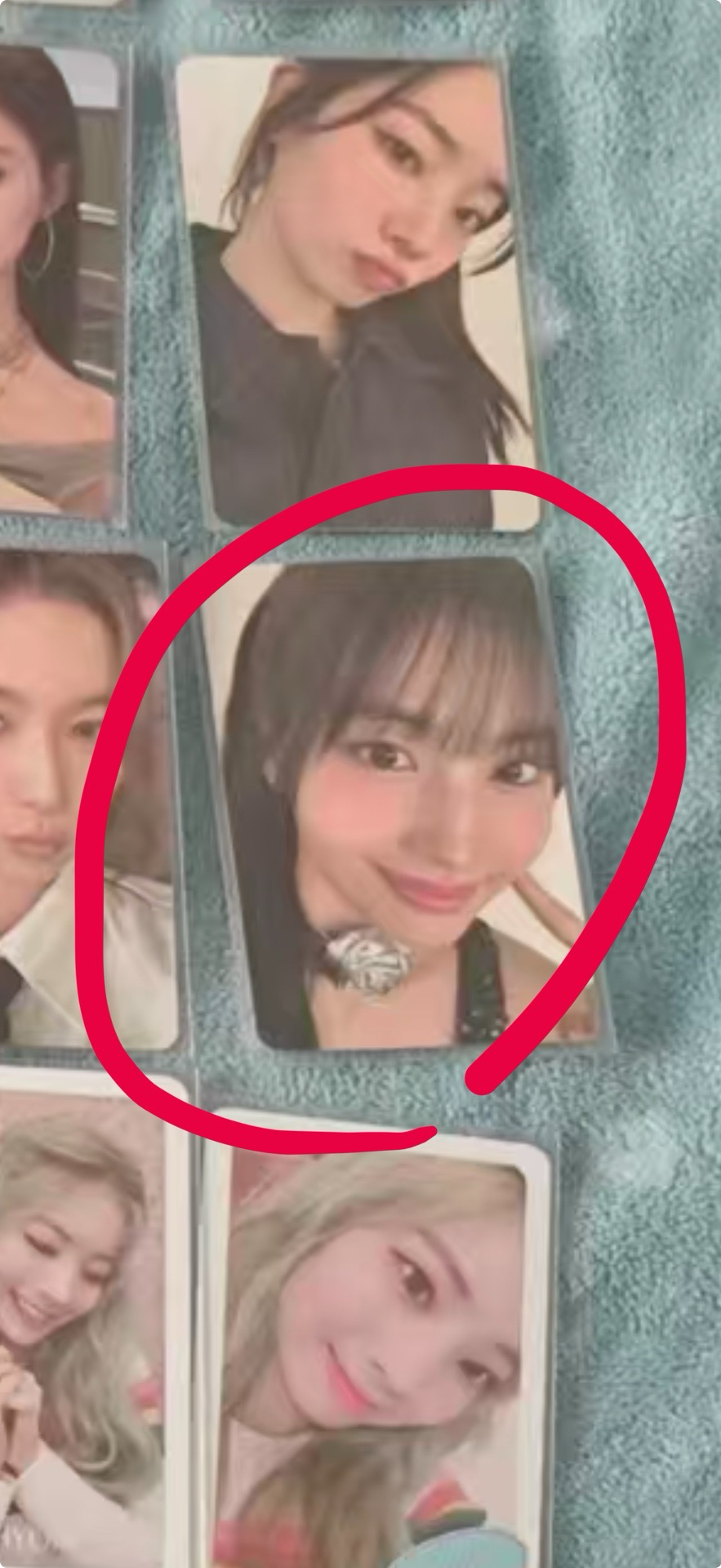 桃不過momo的手掌心