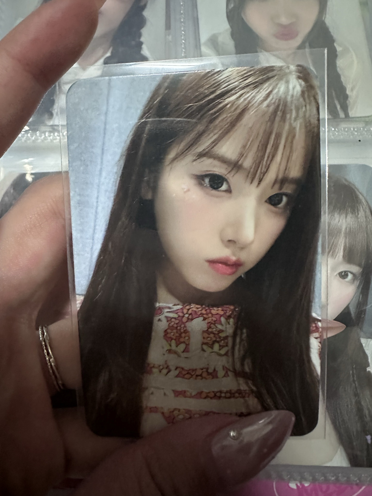 仲夏夜中文卡背友