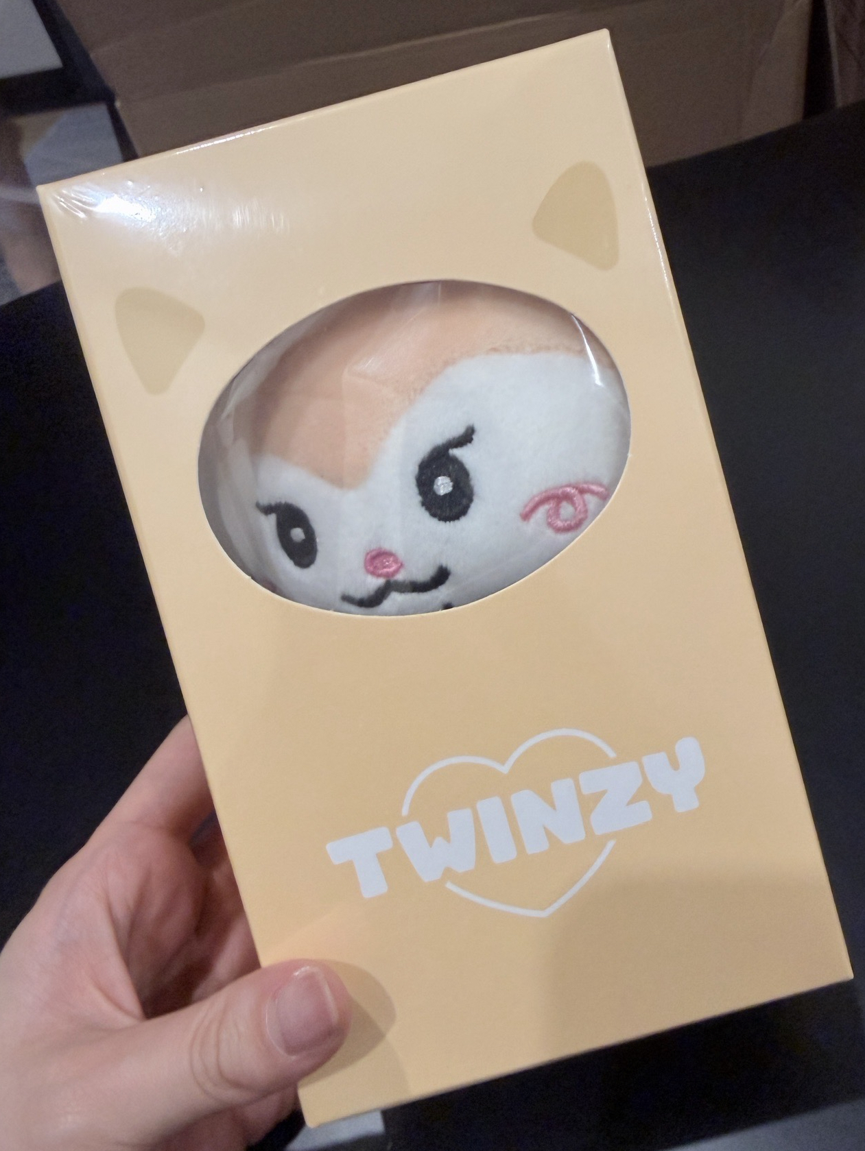 TWINZY 領小娃/現貨全新