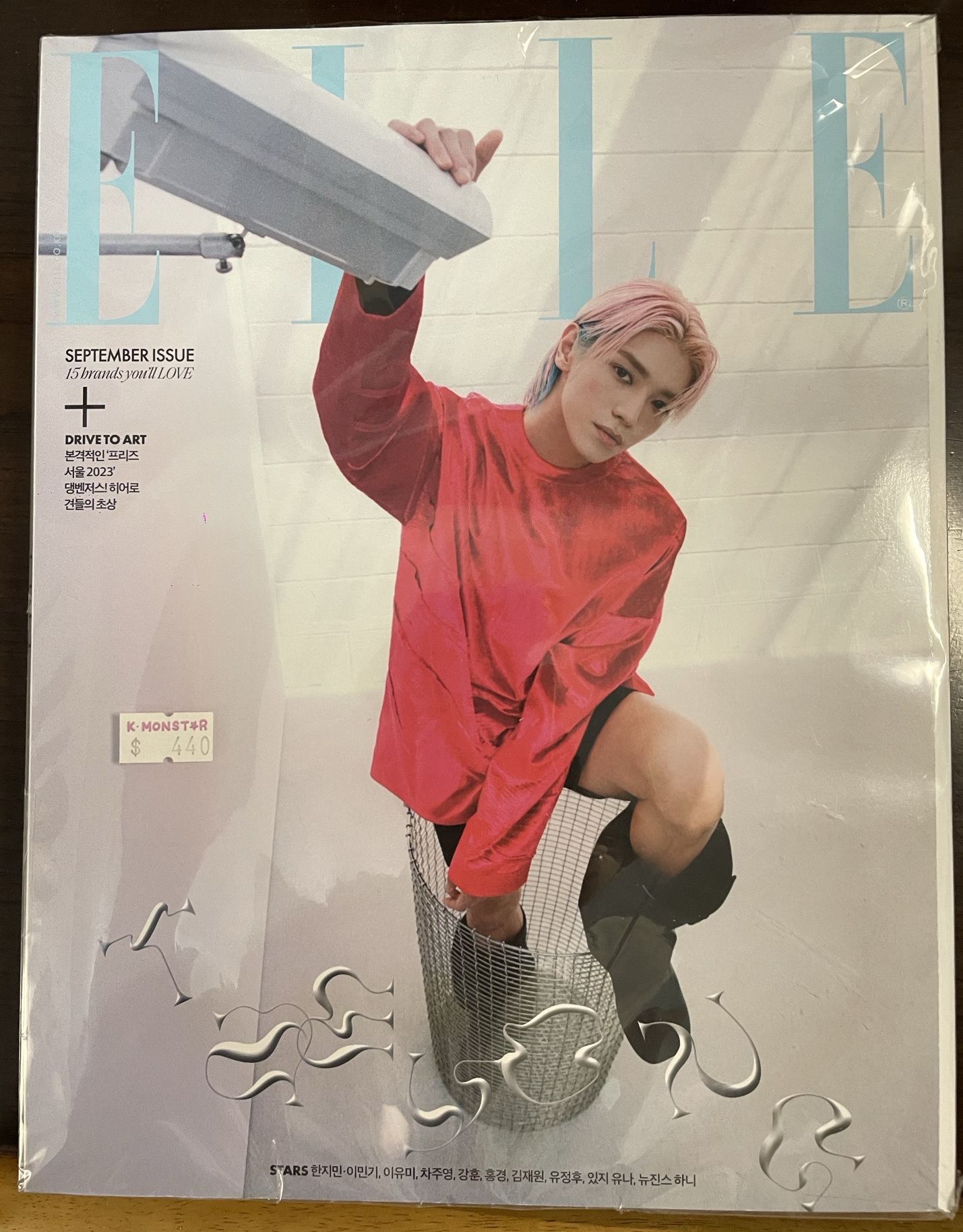 泰容ELLE雜誌