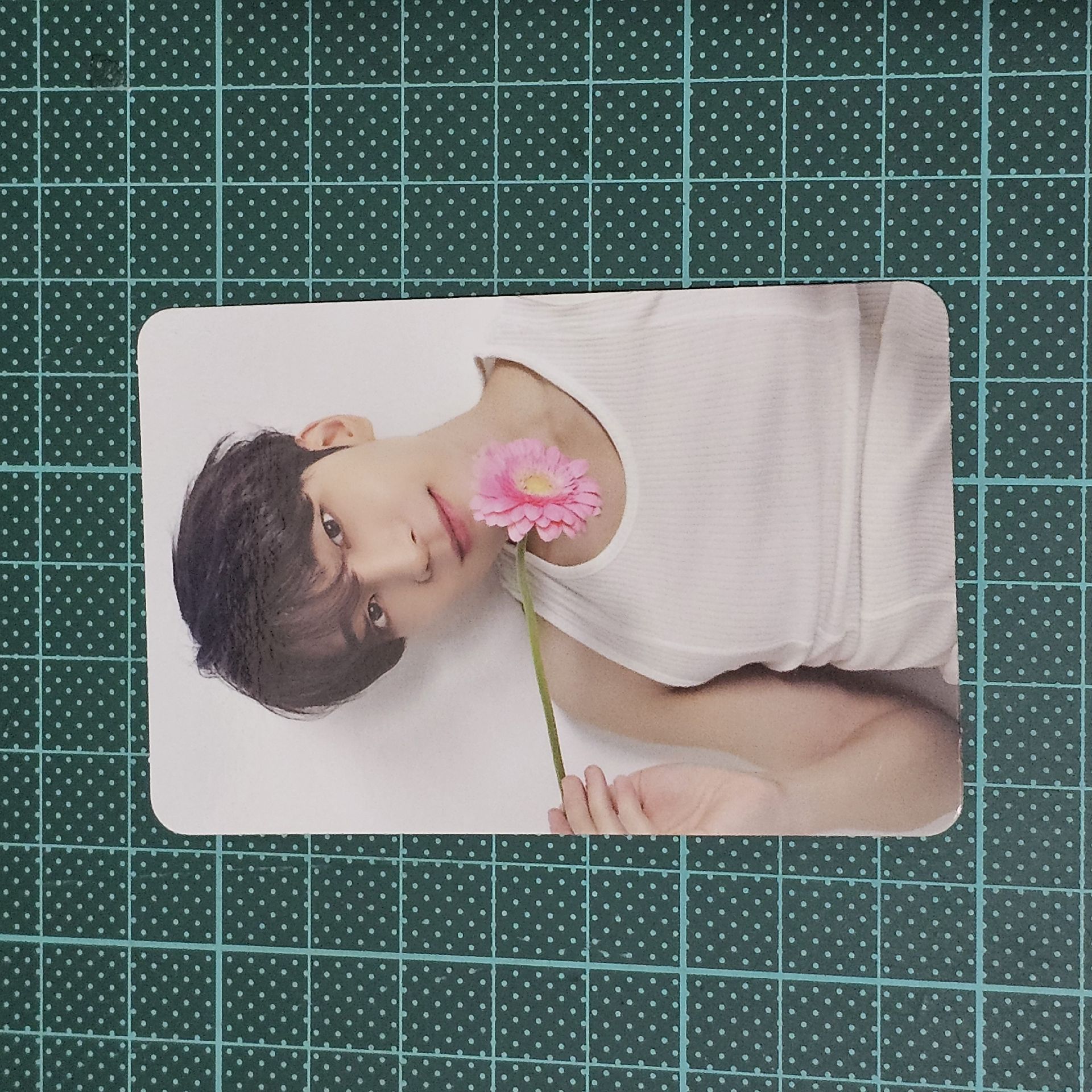 Seventeen 精選專親愛盤圓佑小卡