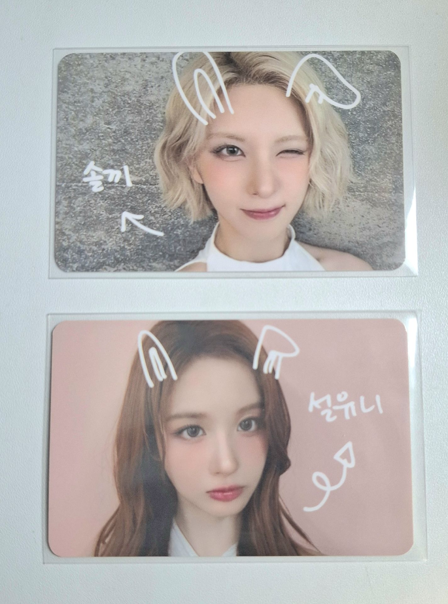 MS寵物鏡頭 裴薛