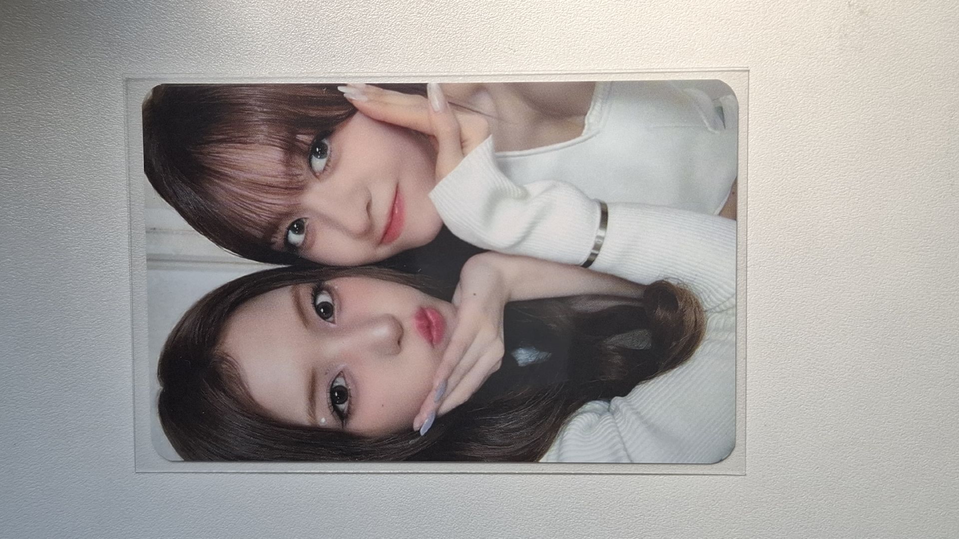 MS寵物鏡頭 裴薛