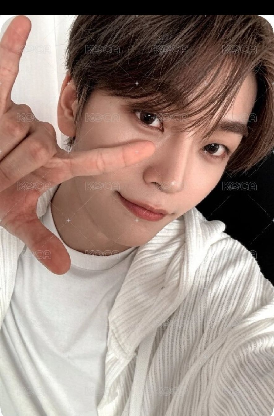 bringgreen 精華卡 鑫隆