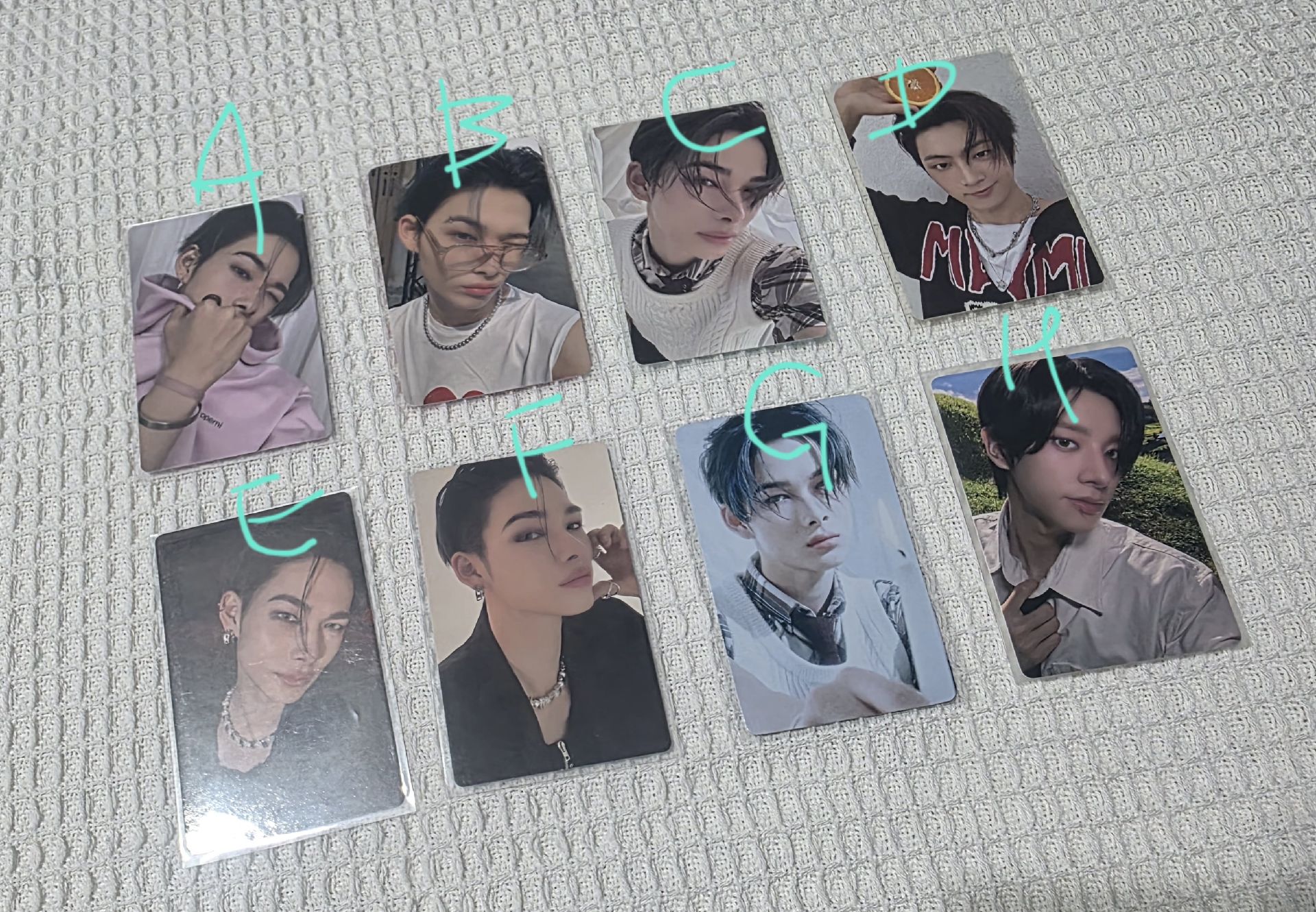 正二特典卡 專輯卡