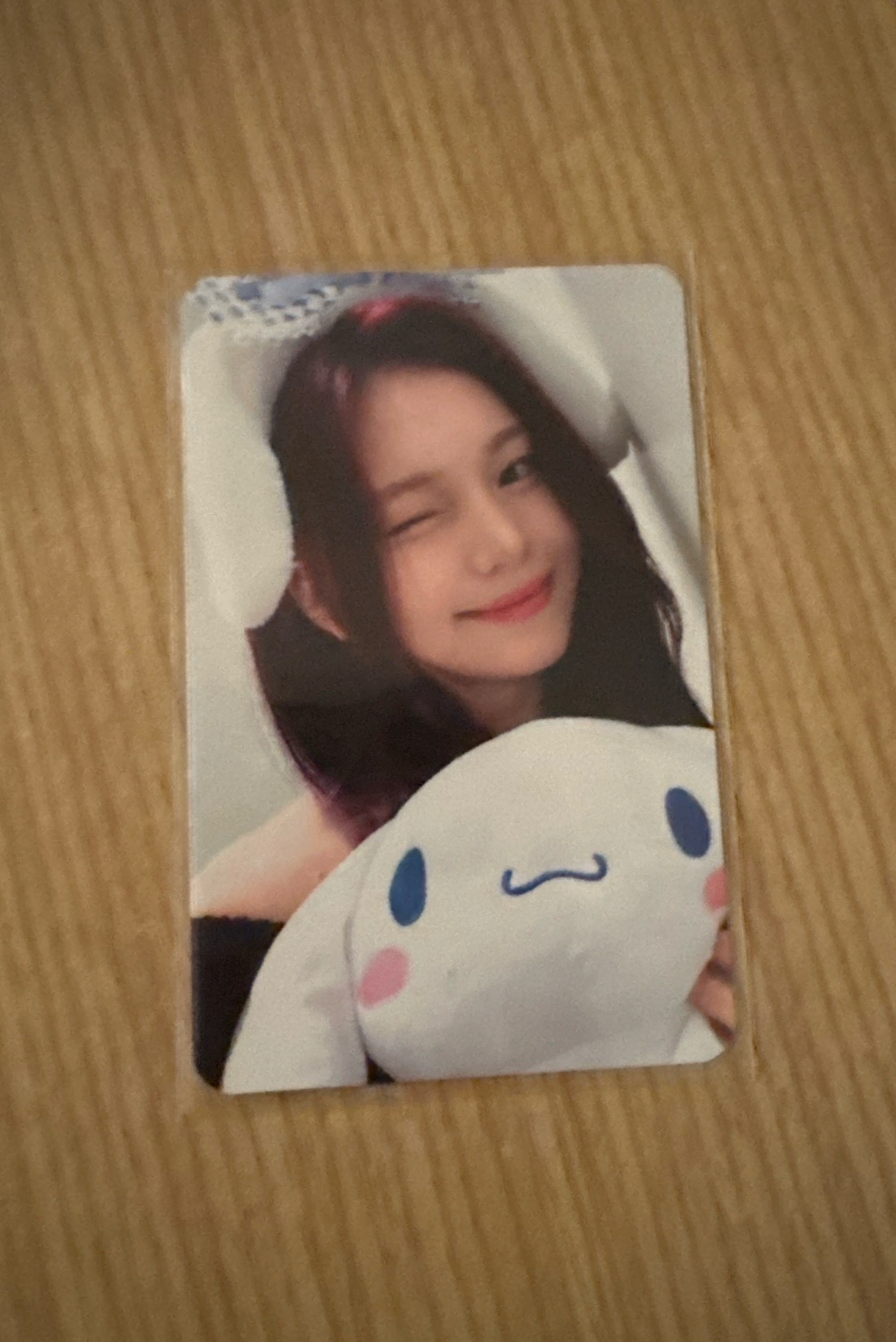 VIVIZ 正一特典 大耳狗智