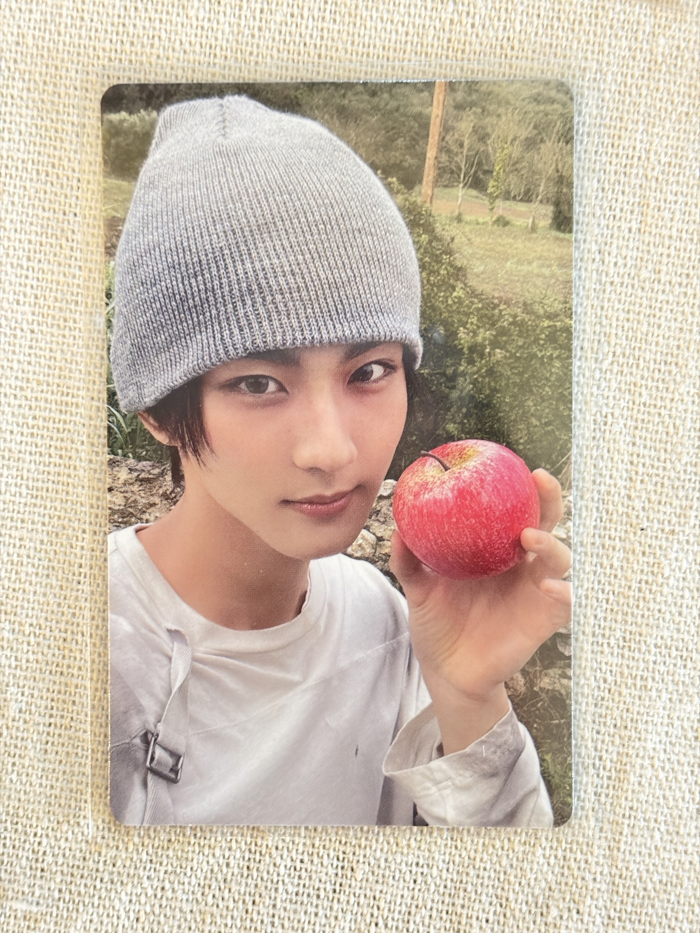 sc直播蘋果元🍎