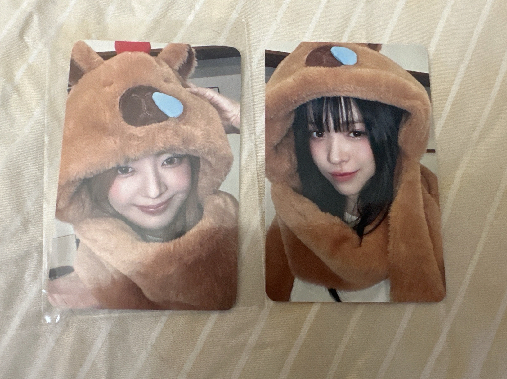 ms卡皮巴拉 中背 粒、溜