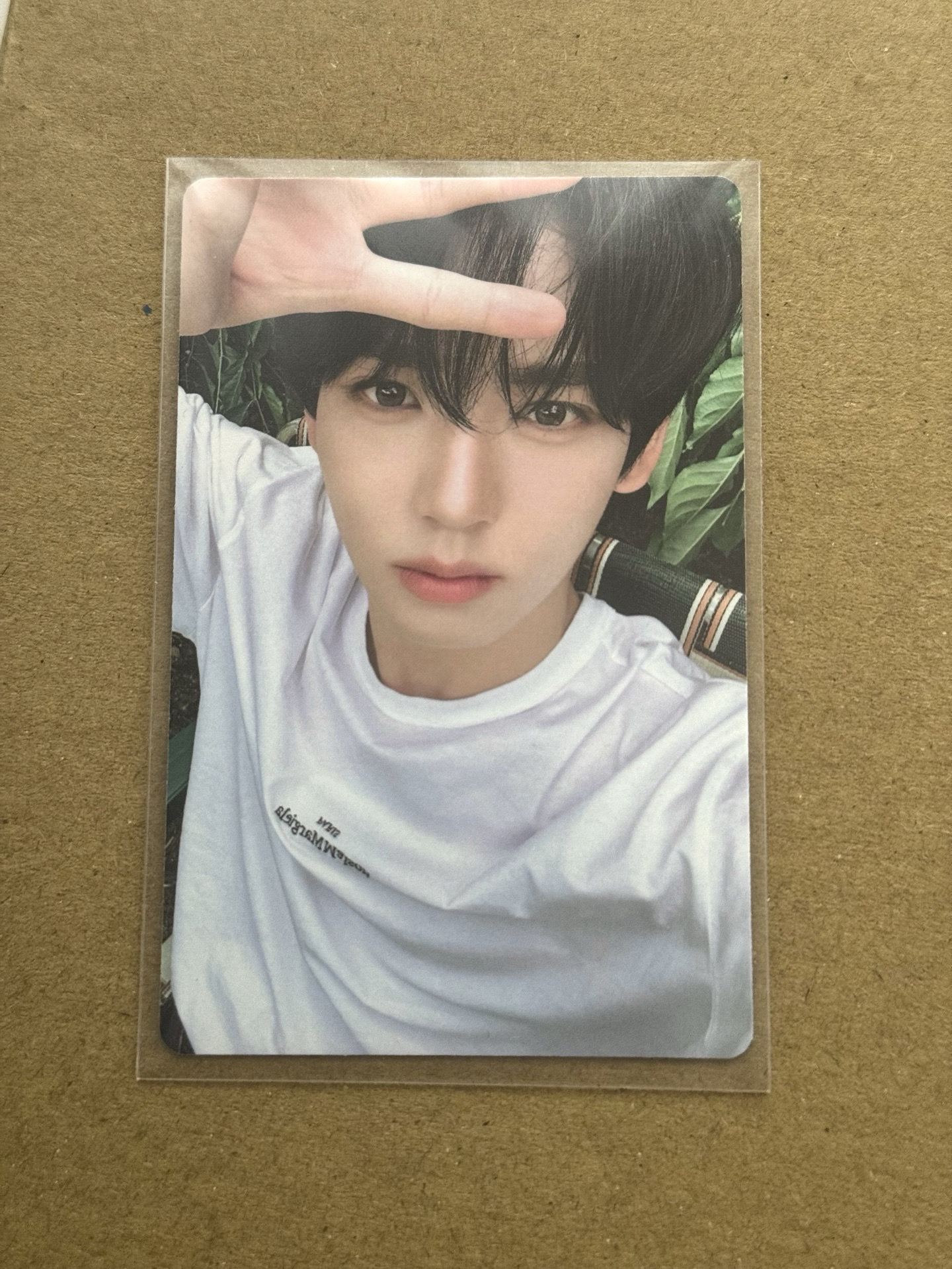 ZB1 迷四 韓維辰 專卡