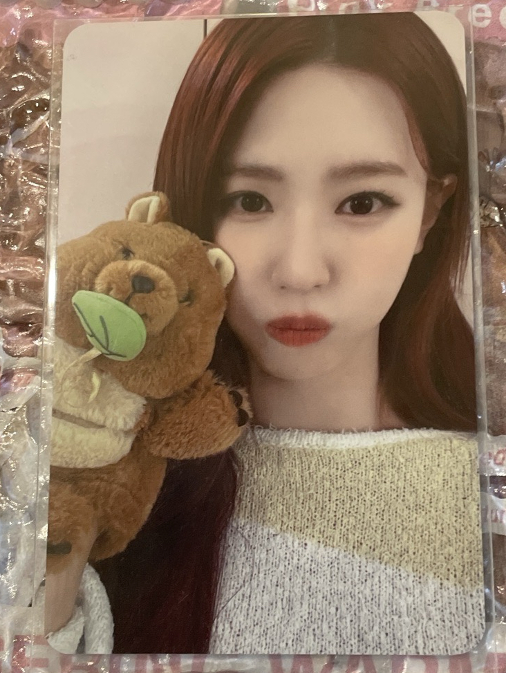 正規二 k4 5.0 特典卡 矮袋鼠麵