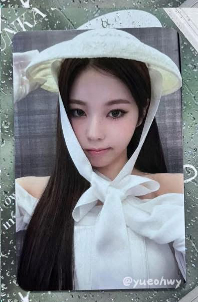 ⭐️羅馬假日圭