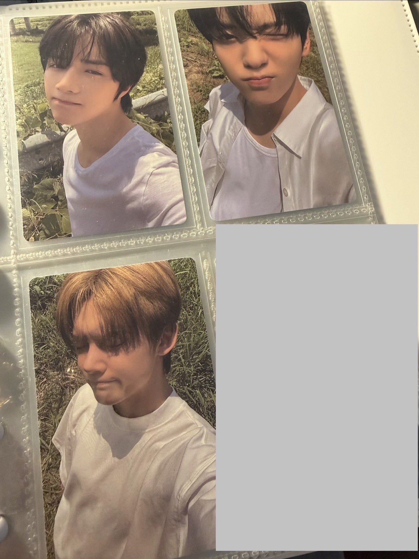 正四 wvs DC PB版竣彬圭