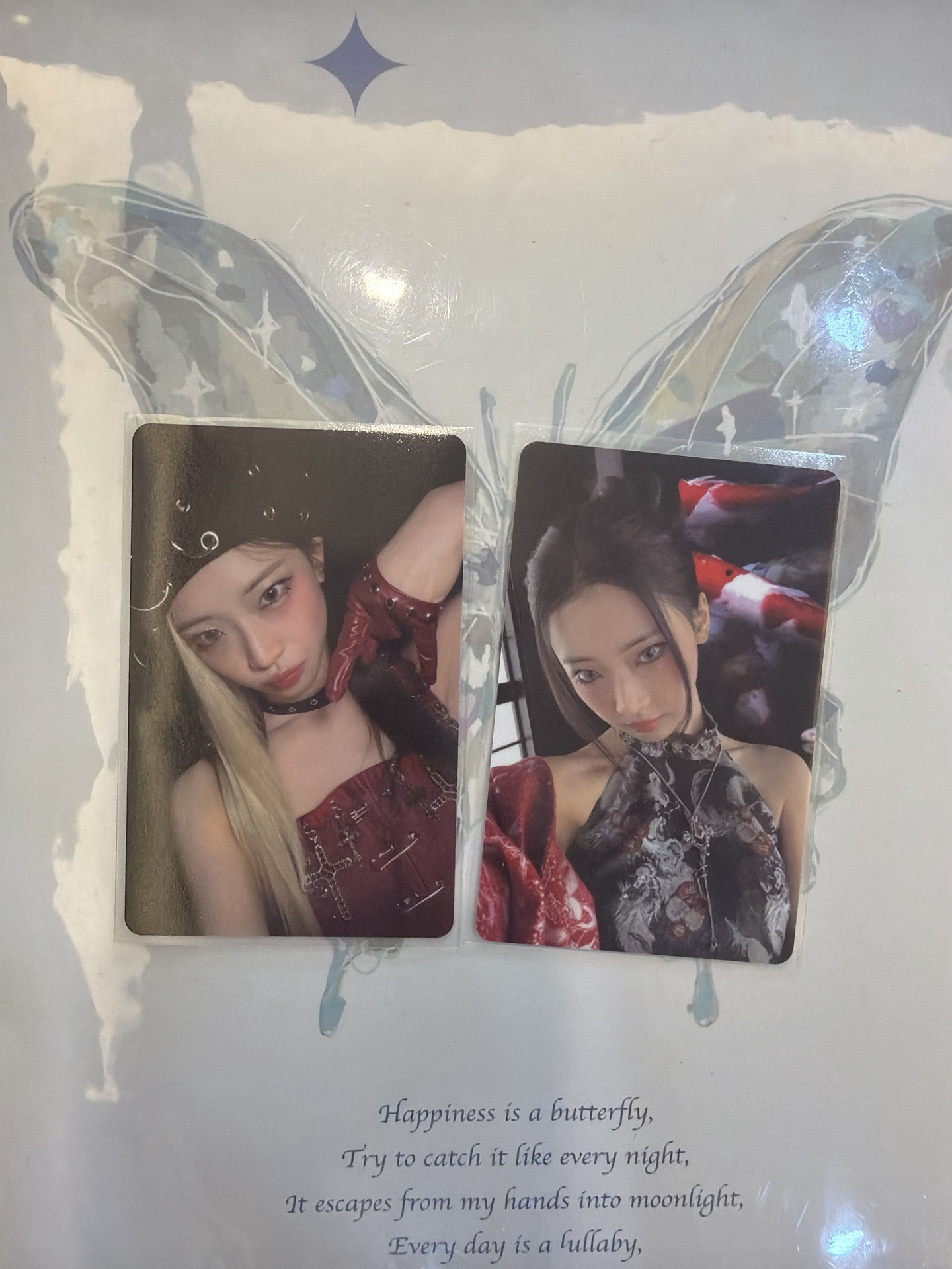 卡套露+卡冊露 220/2