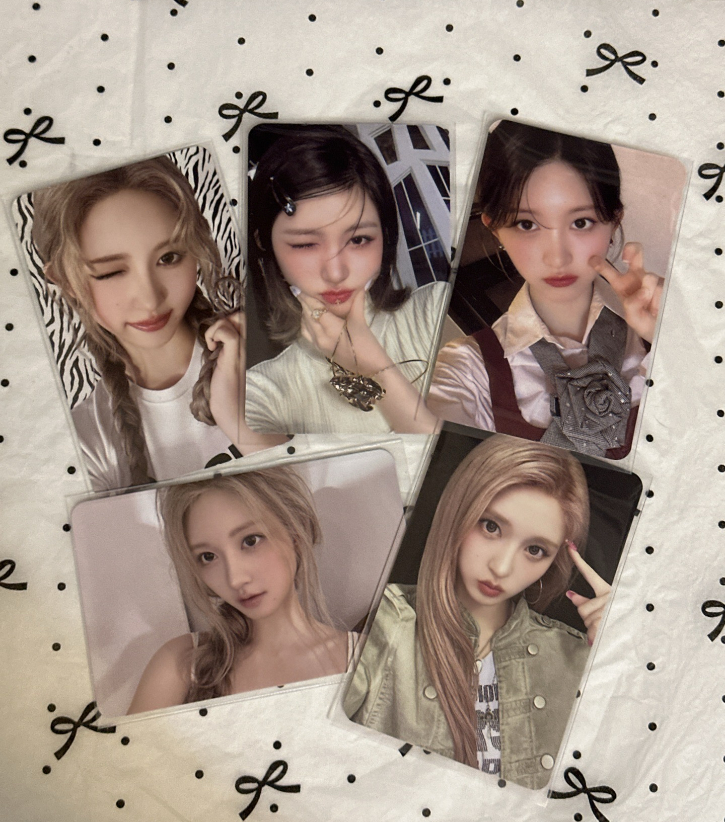 秋小盤～萌萌的帶回家吧！