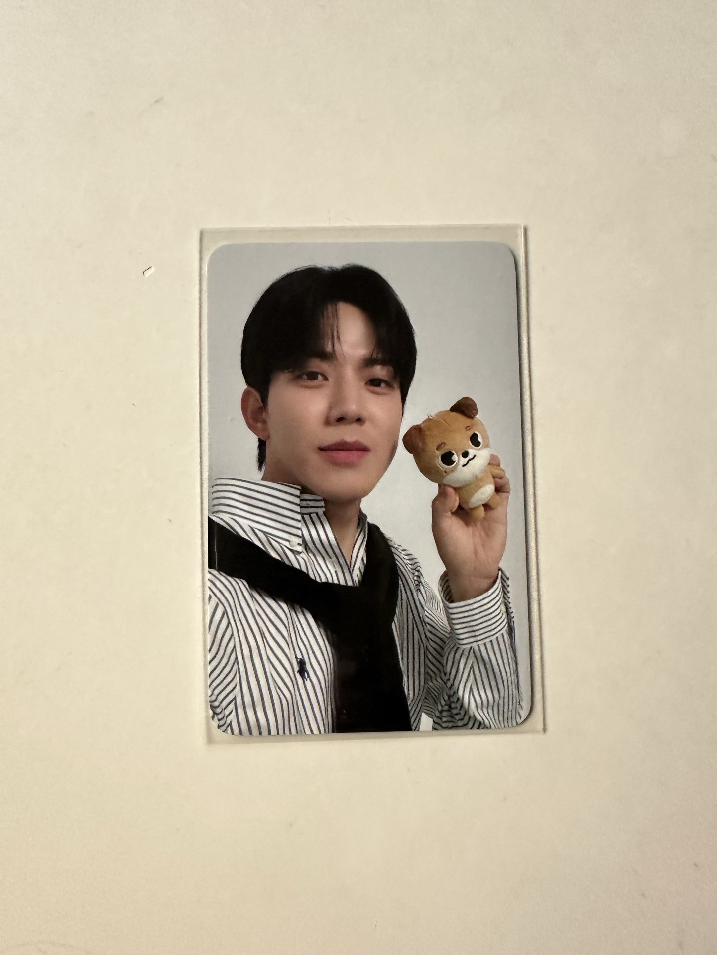 Day6 櫻花控小卡