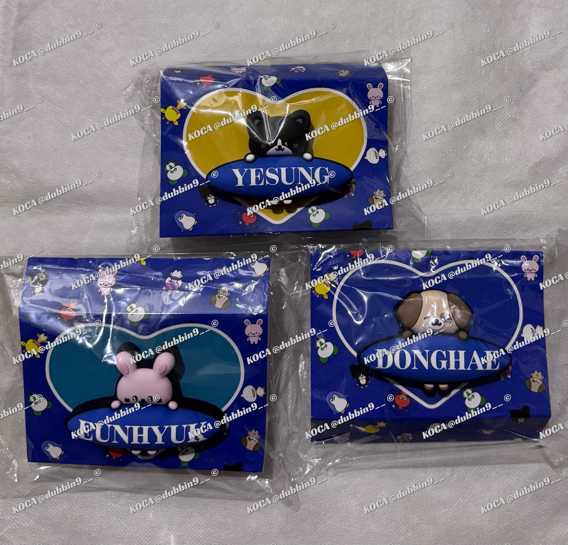 *現貨* Super Junior SS10 IN Japan 手燈牌 FANLIGHTアクセサリー 藝聲 銀赫 東海