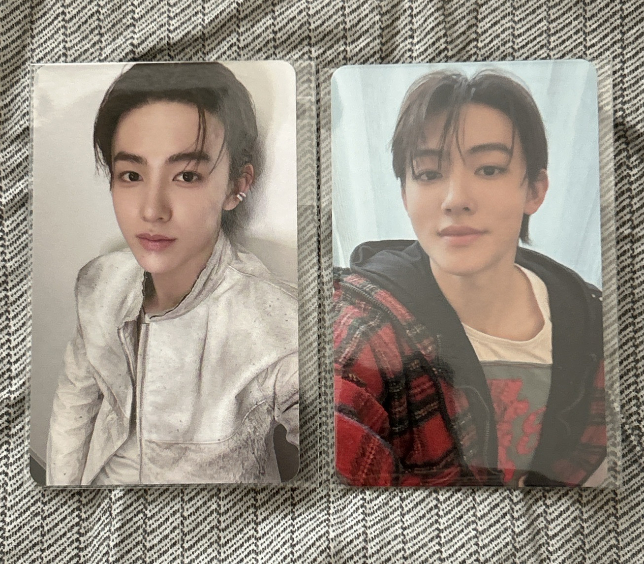 迷一 ma &mp 特典卡 2025年末禮