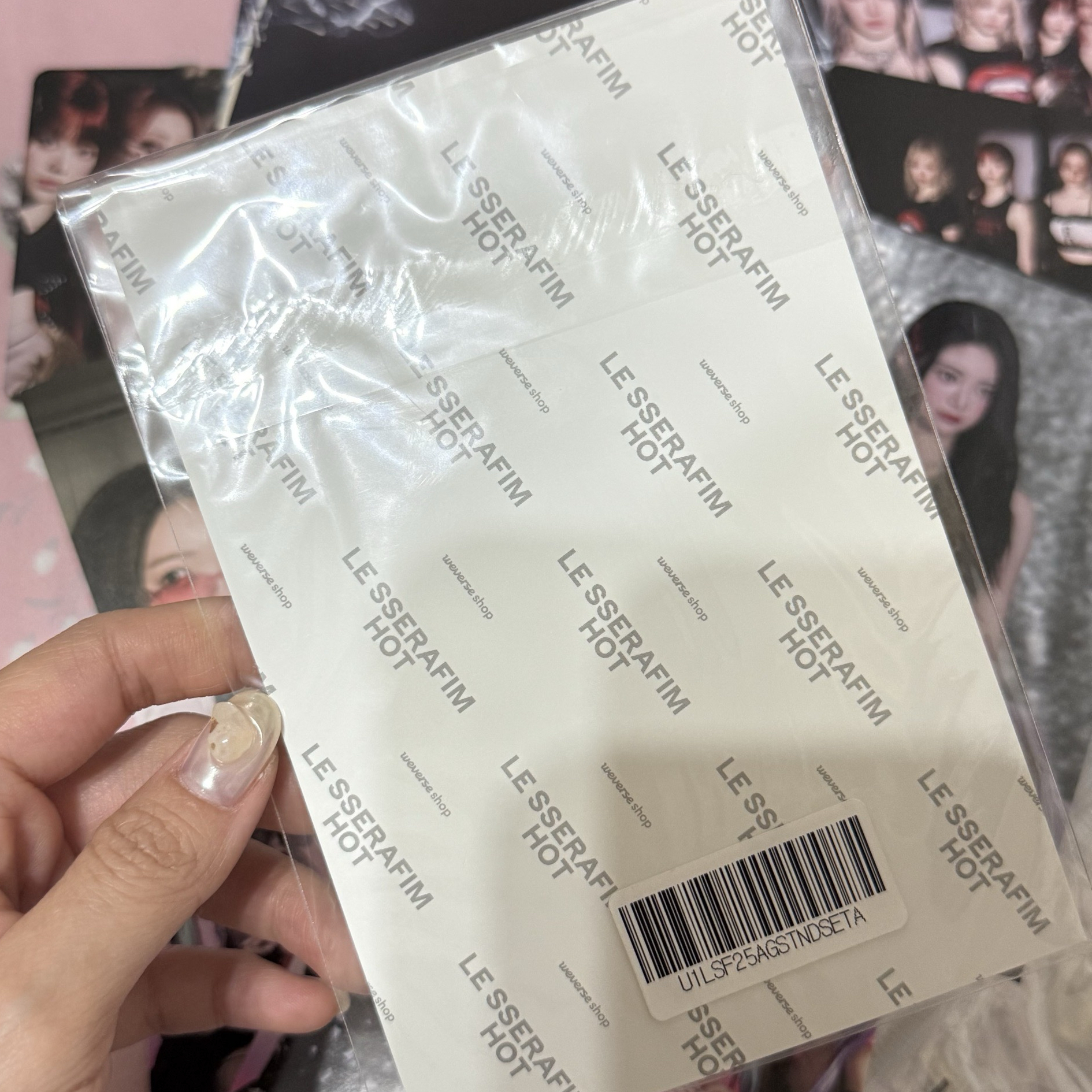 HOT PB預售明信片