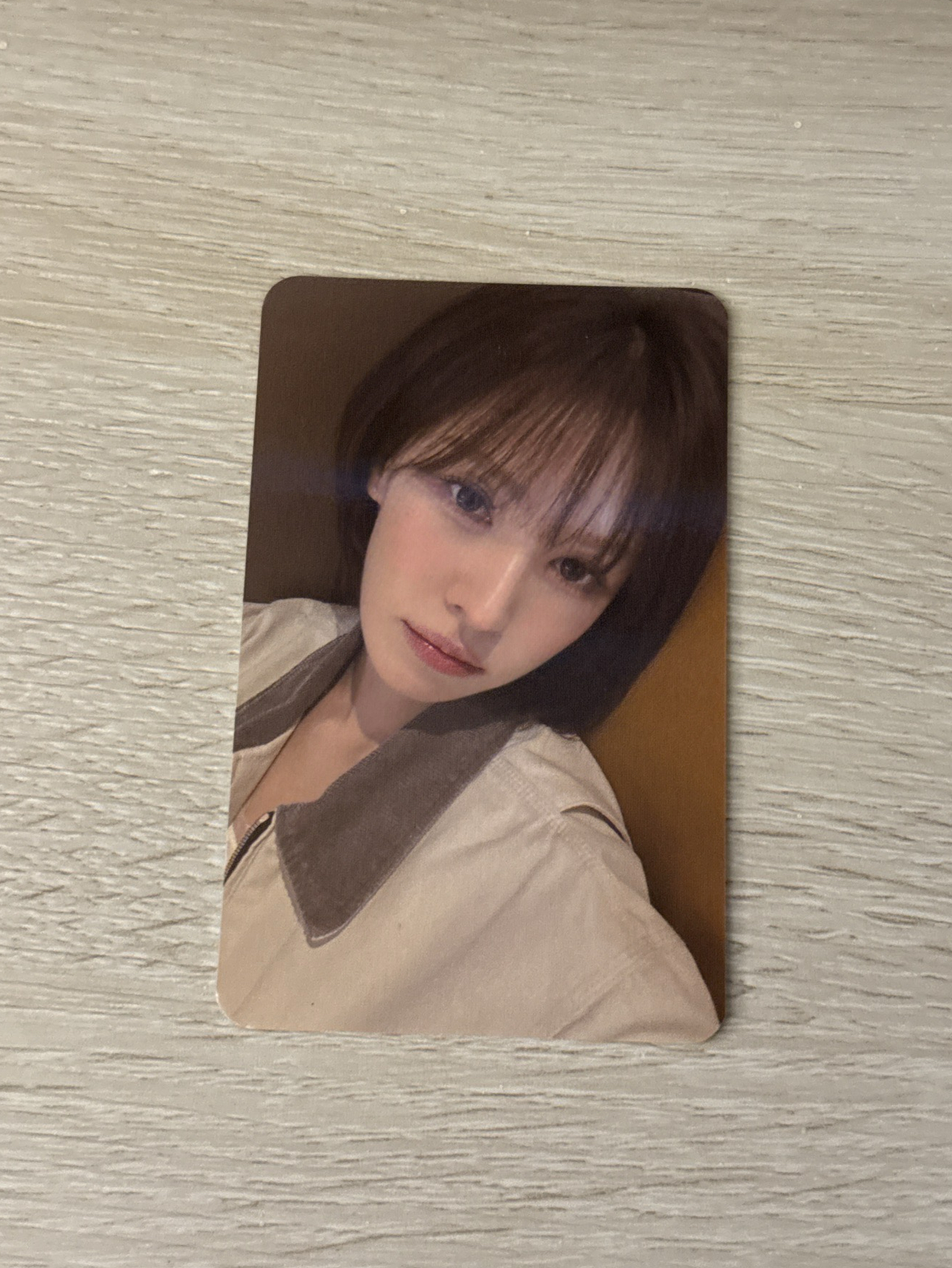 櫻花季入場卡（溫）