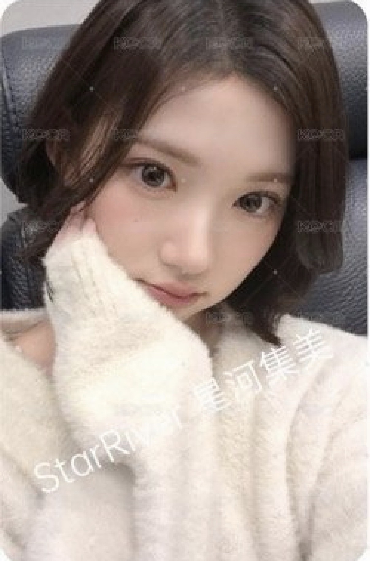 Focus sr 1.0 簽售卡 