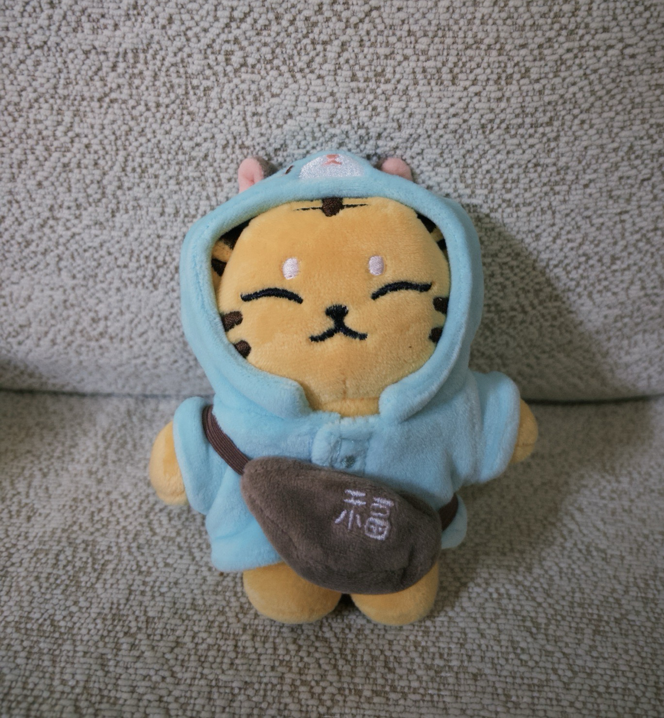 Hoshi 小眈眈+歷程卡🐯