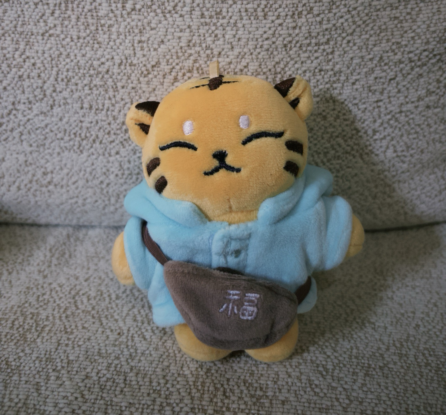 Hoshi 小眈眈+歷程卡🐯