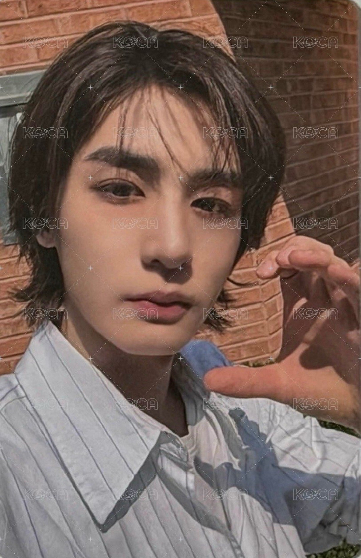 The Action 專輯卡 單封版