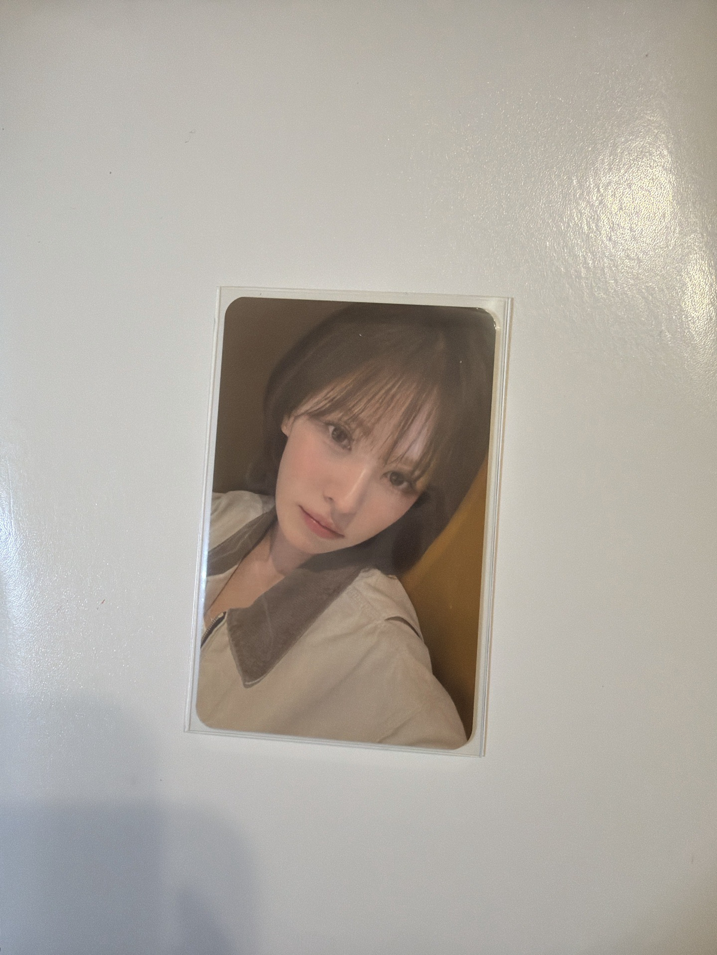 2026高雄櫻花季 Wendy入場卡