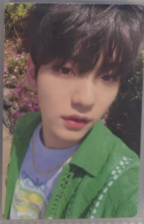 22年夏寫 綠衣彬