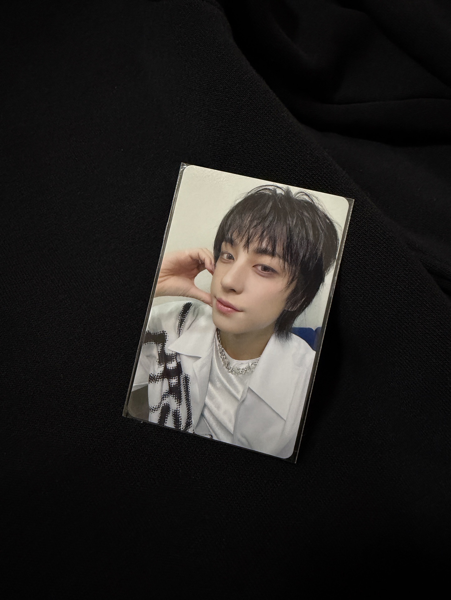 BTL wvs 特典卡 Fan Showcase live 🐣