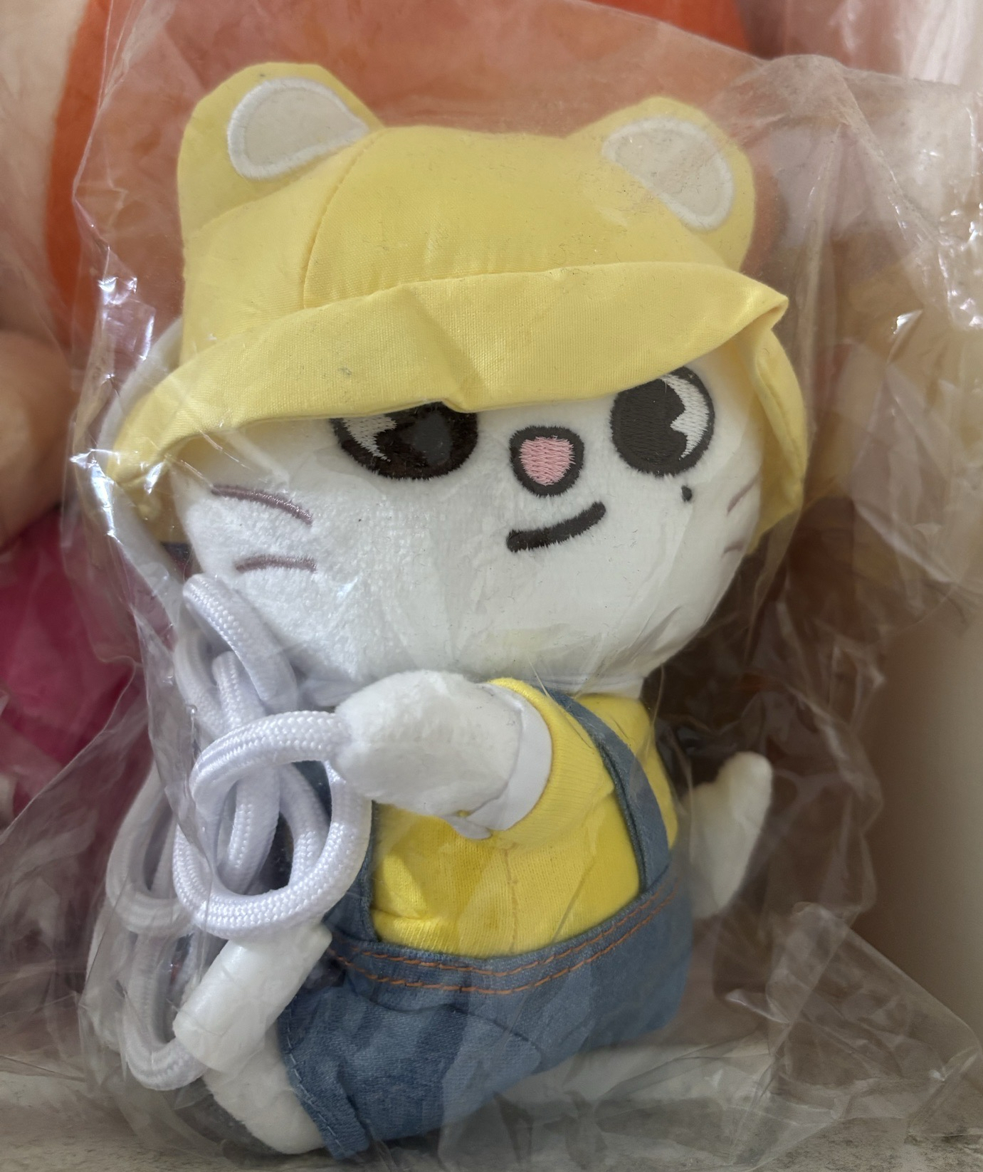 幼兒園吊繩娃-辰