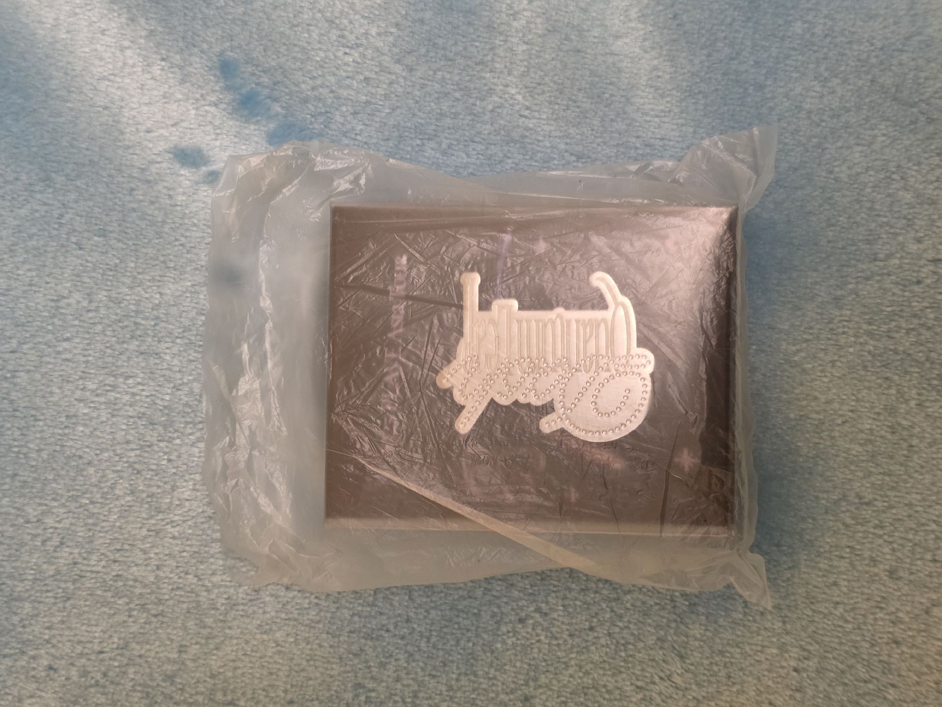 plave 亞巡金屬徽章