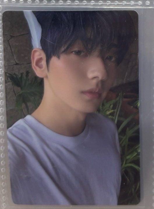 迷七 單封專卡 秀彬