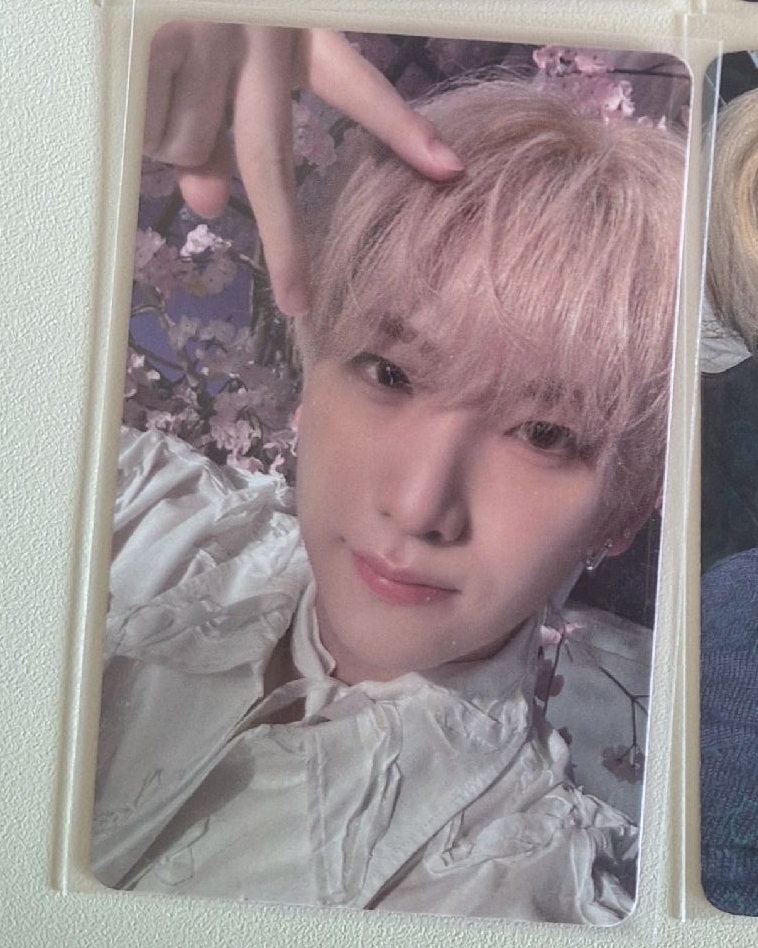 五月雨 was GI 貓耳