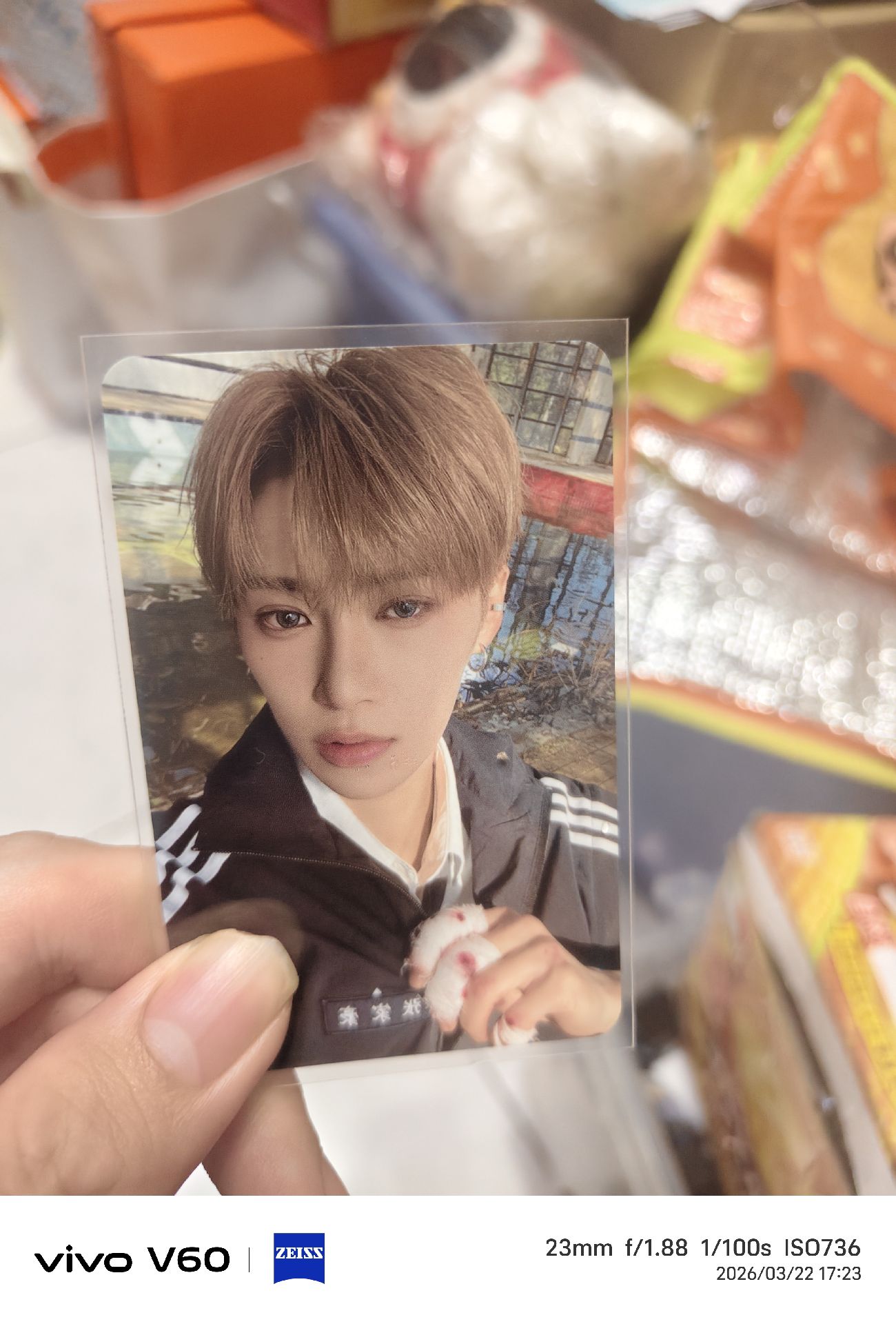 euphola drive one迷一張家豪小卡