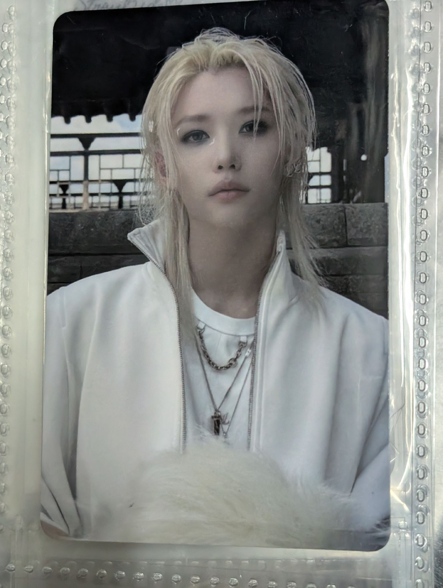 合(HOP) 塔店 LD菲