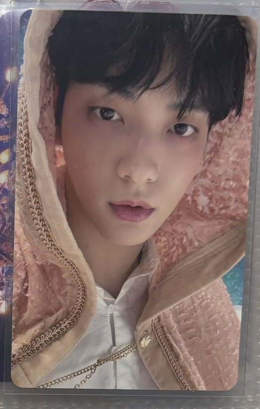 22年巡演DVD卡 新娘彬 粉帽彬