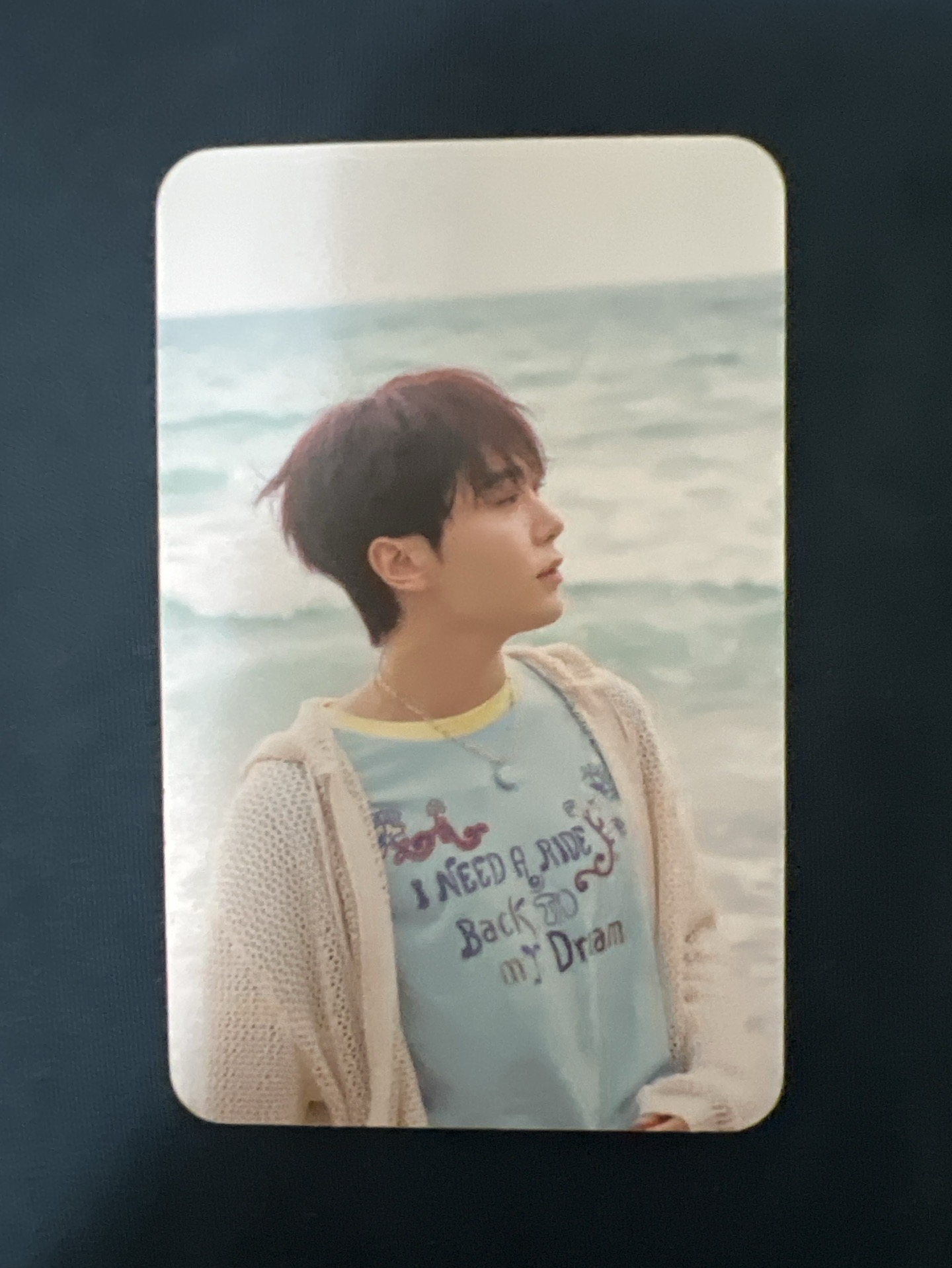 MINI12 專輯卡 wvs電子專