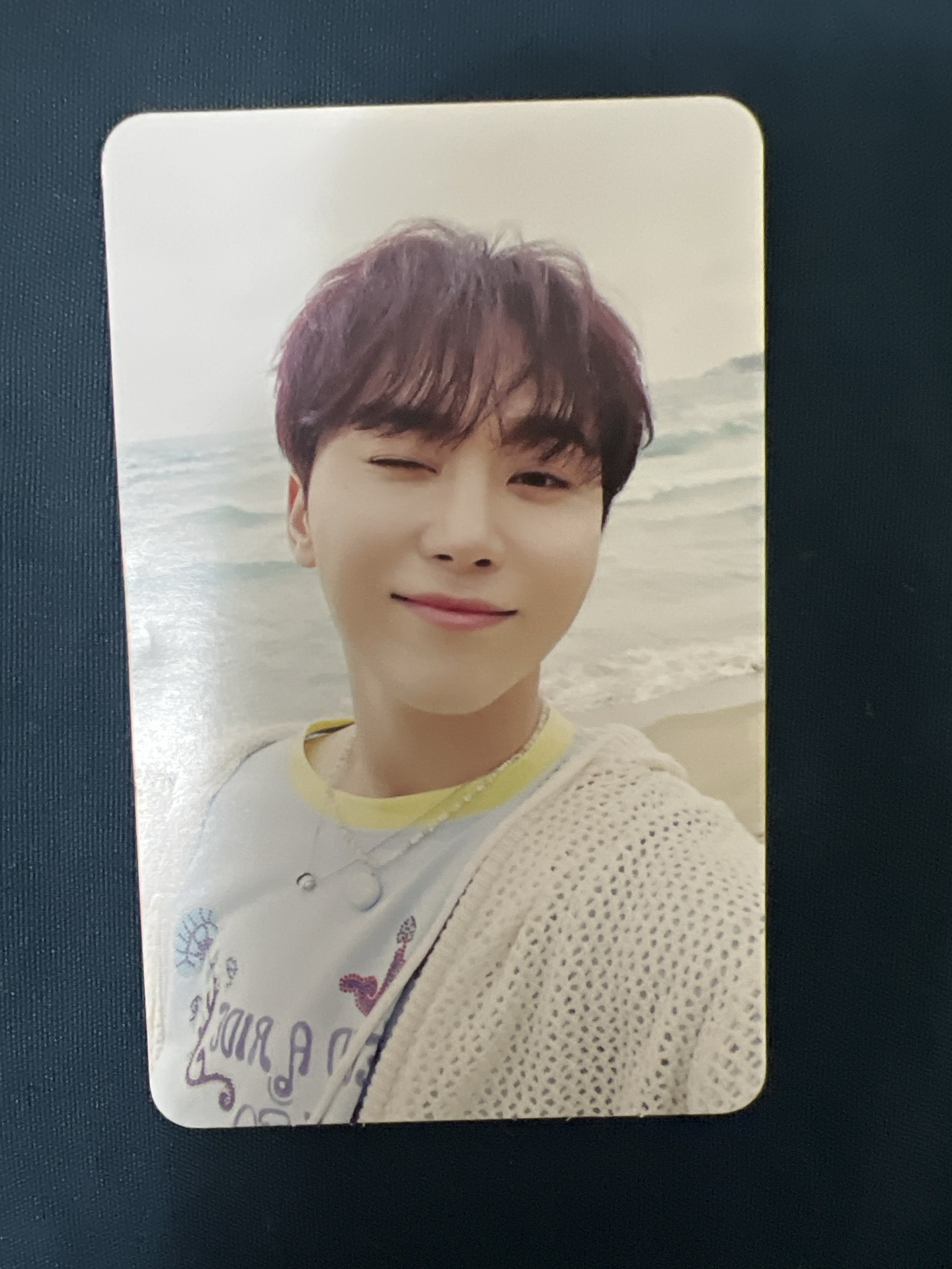 MINI12 專輯卡 wvs電子專