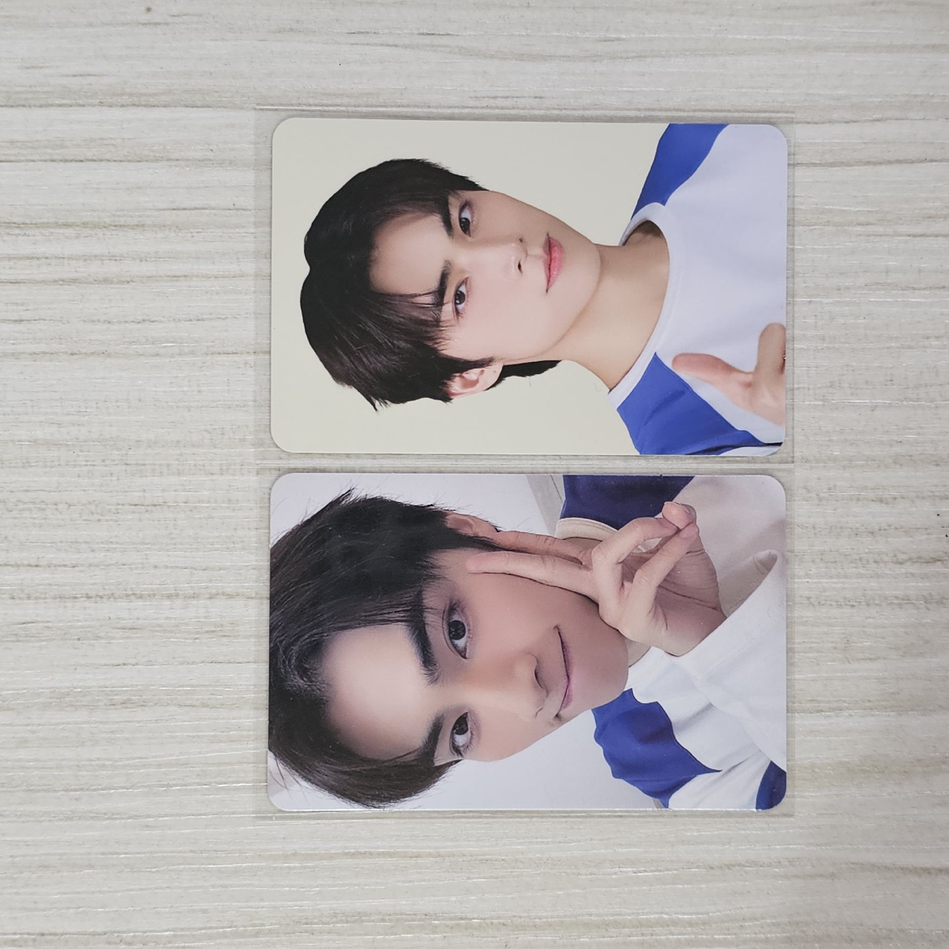 ZONE 披薩隨機卡一套